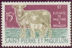 02 407 08 12 1970 elevage de moutons