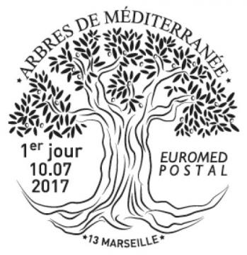 03 5164 10 07 2017 arbres mediterranee
