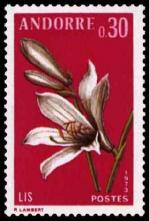 26 229 07 07 1973 fleur des vallees d andorre le lis