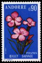 30 231 07 07 1973 fleur des vallees d andorre l oeillet sauvage 1