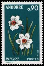 32 236 06 04 1974 fleur des vallees d andorre le narcisse