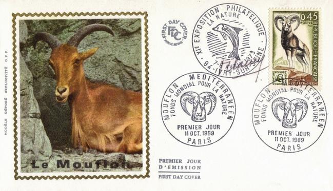 48 1613 11 10 1969 mouflon
