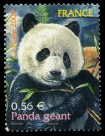 51 4372 20 06 2009 panda