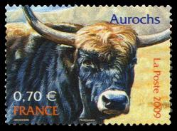 55 4374 20 06 2009 aurochs