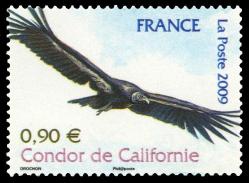 57 4375 20 06 2009 condor de californie