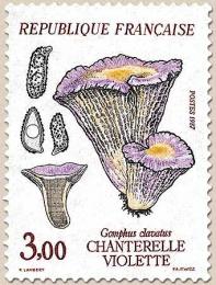 79 2489 05 09 1987 chanterelle violette