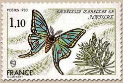 81 2089 31 05 1980 papillon graellsia isabellae